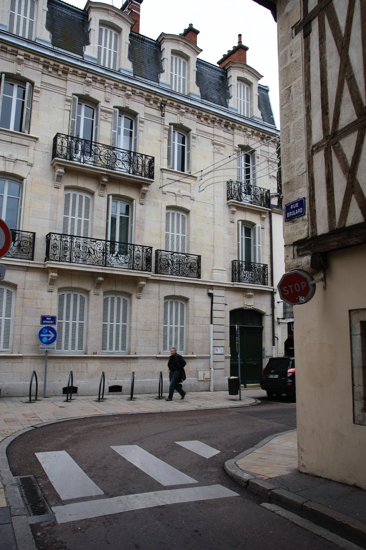 Dijon içinde merkezi konumda konaklama