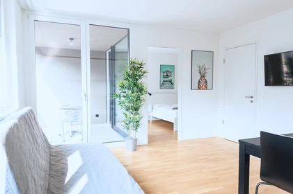 Two bedroom accommodation in Basel