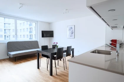 Komplette Wohnung voll möbliert in Basel