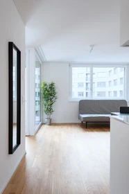 Komplette Wohnung voll möbliert in Basel