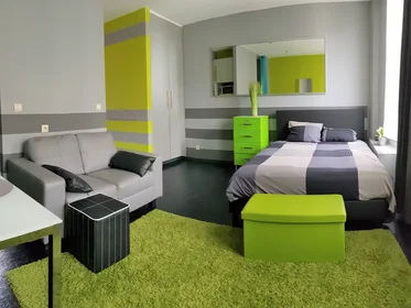 Entire apartment at Begijnenvest, Sint-Andries-Bourla, image 2 of 10