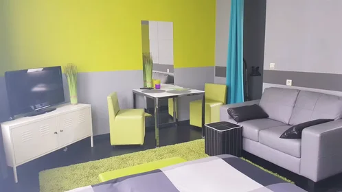 Entire apartment at Begijnenvest, Sint-Andries-Bourla, image 4 of 10