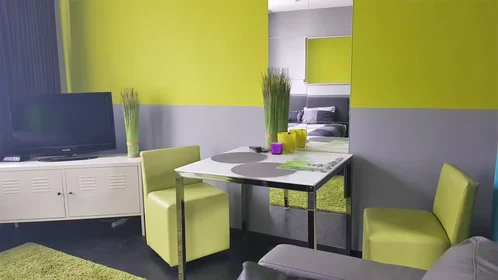 Entire apartment at Begijnenvest, Sint-Andries-Bourla, image 6 of 10