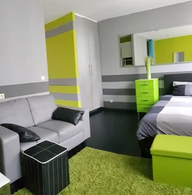 Entire apartment at Begijnenvest, Sint-Andries-Bourla, image 8 of 10