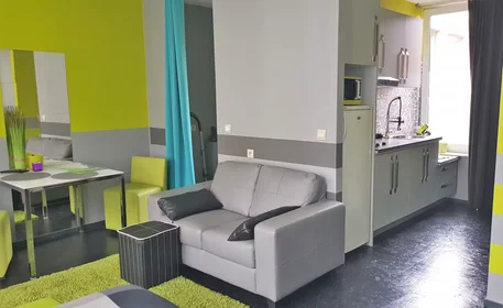 Entire apartment at Begijnenvest, Sint-Andries-Bourla, image 10 of 10