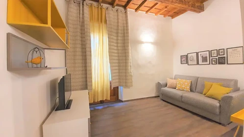 Accommodation in the centre of Firenze