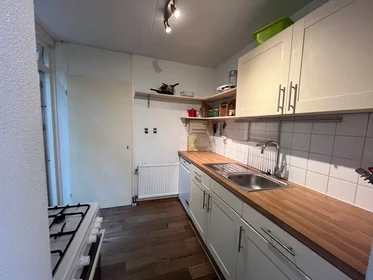 Gesamte Unterkunft in der Oude Singel, Centrum, bild 10 von 10