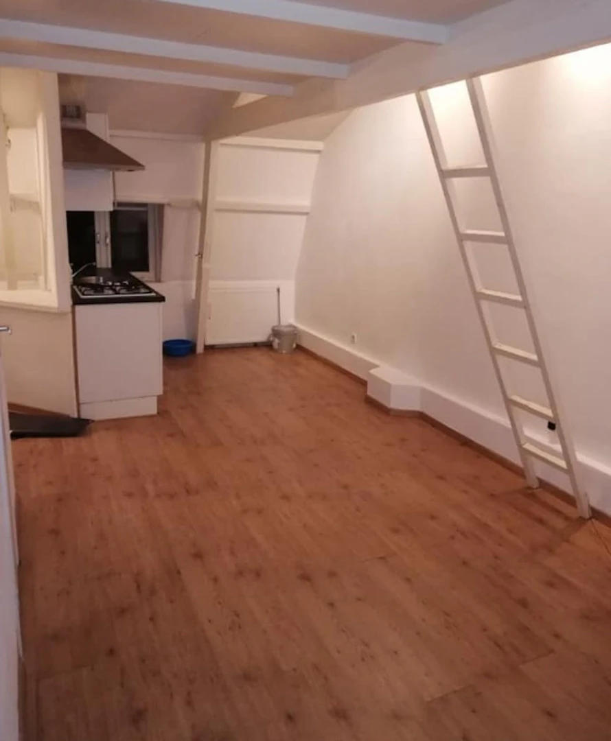 Entire fully furnished flat in Utrecht