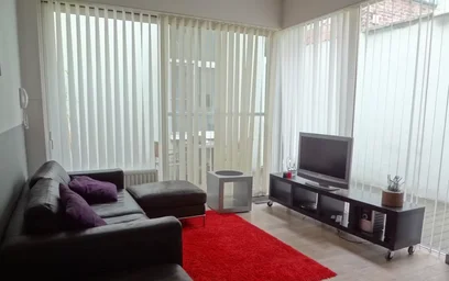 Entire apartment at Lange Dijkstraat, Amandus-Atheneum, image 3 of 10
