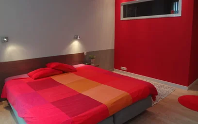 Entire apartment at Lange Dijkstraat, Amandus-Atheneum, image 10 of 10