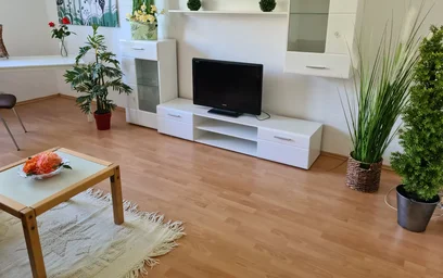 Gesamte Unterkunft in der Plauener Straße, Mitte, bild 7 von 10