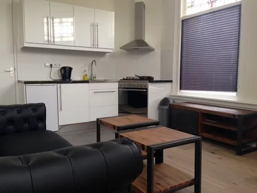Appartamento intero in Koningin Emmaplein, Regentessekwartier, immagine 1 di 10