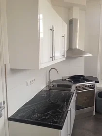 Appartamento intero in Koningin Emmaplein, Regentessekwartier, immagine 7 di 10