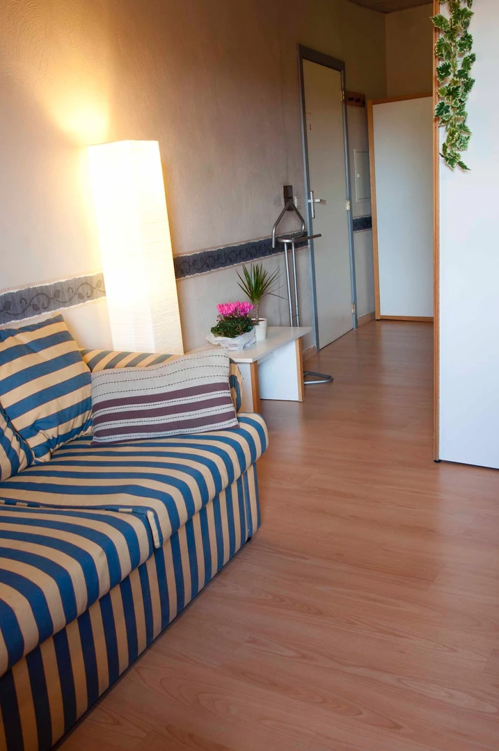 Chambre à louer dans un appartement en colocation à Louvain