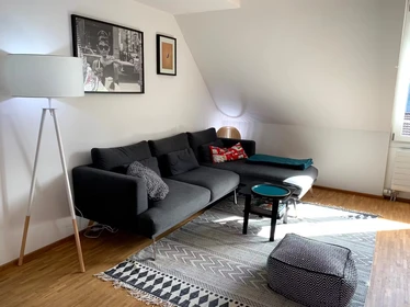 Apartamento entero totalmente amueblado  en Zurich