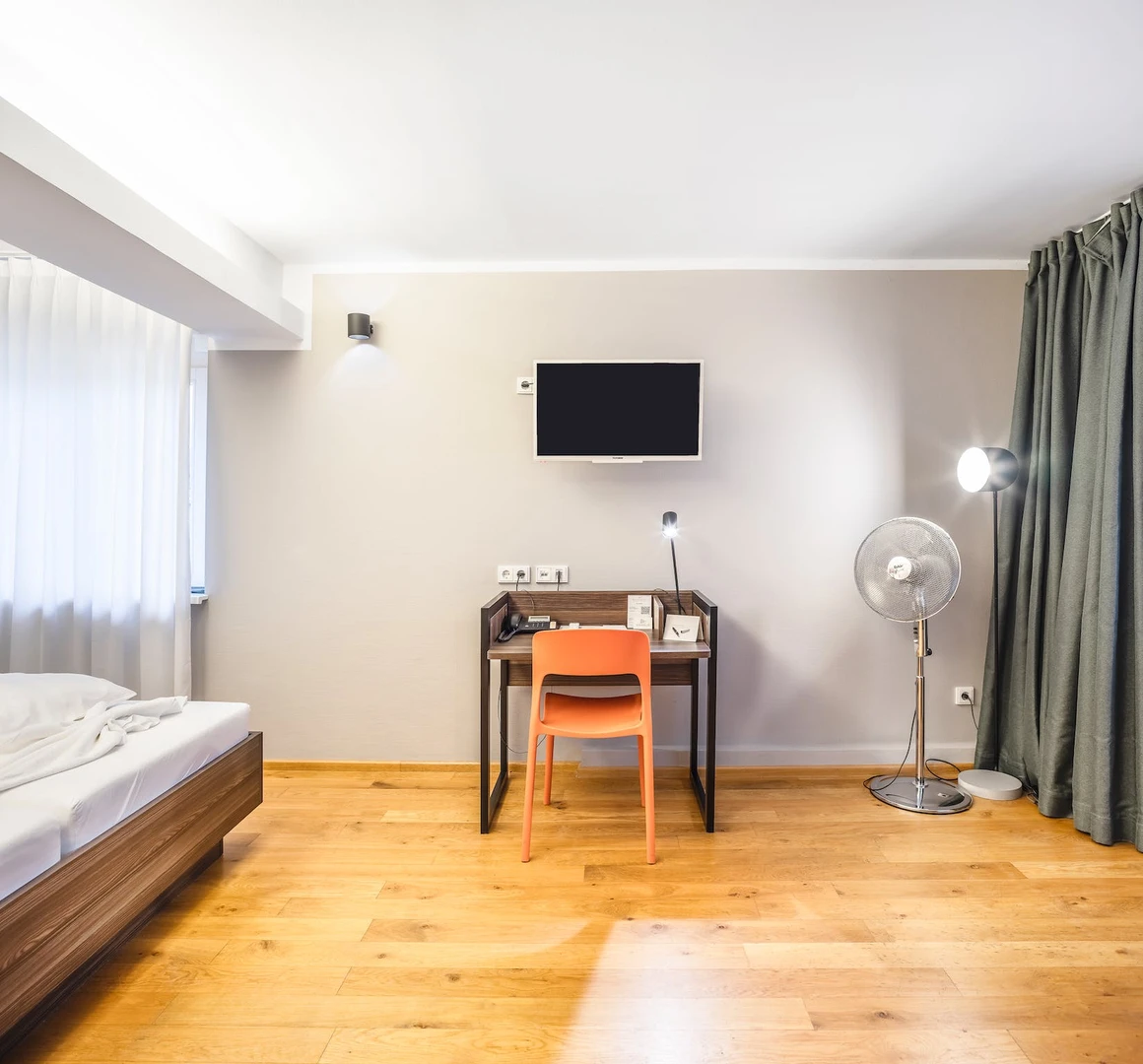 Entire fully furnished flat in Heidelberg
