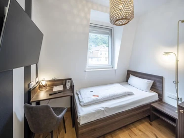 Entire fully furnished flat in Heidelberg