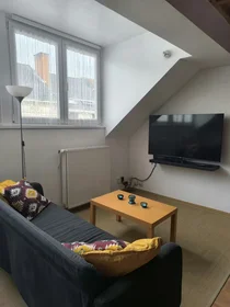 整租 在 Rue de Spa, Nord-Est, 10的图像10