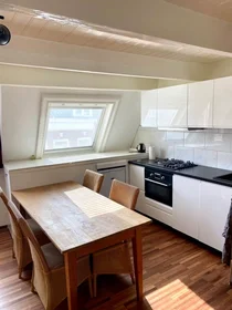 Logement entier à Van Brakelstraat, Zeeheldenbuurt, image 6 de 10
