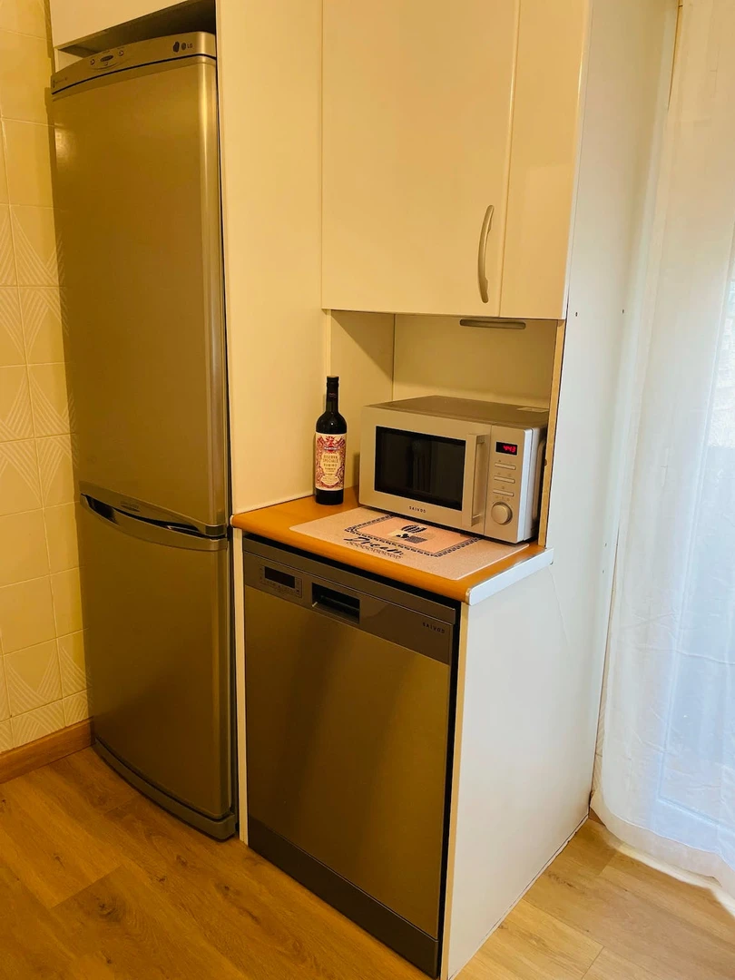 Entire fully furnished flat in León