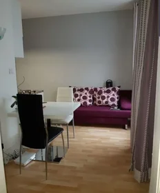 Appartamento intero in Rue du Faubourg de Pierre, Centre, immagine 1 di 9