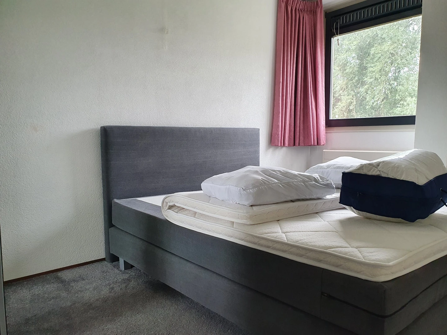 Entire fully furnished flat in Leiden