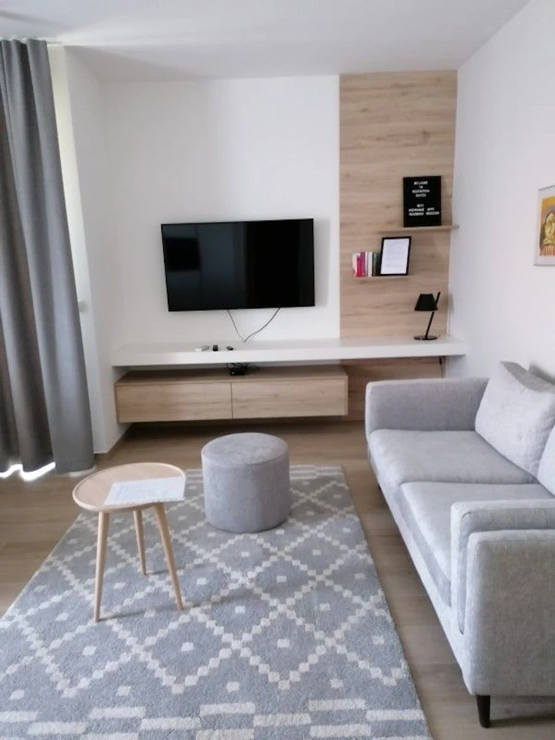Appartamento in centro a Lubiana