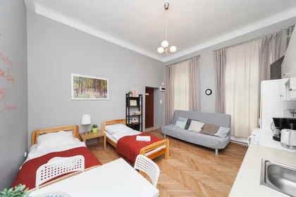 Entire fully furnished flat in Krakow