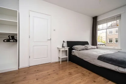 Toda a acomodação em Carel van Nieveltstraat, Kralingen-Crooswijk, imagem 1 de 10