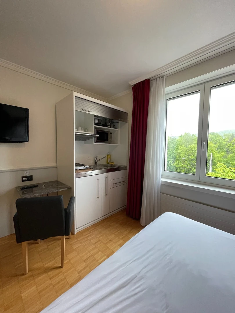 Accommodation with 3 bedrooms in Zurich
