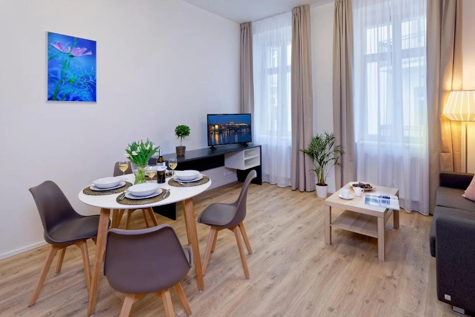 Entire fully furnished flat in Prague