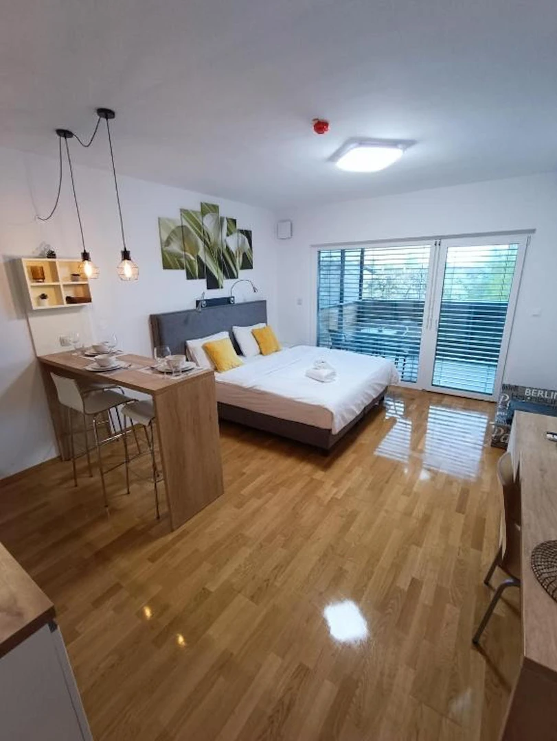Entire fully furnished flat in Ljubljana