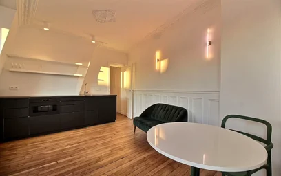 Entire apartment at Rue Charles Baudelaire, 12th Arrondissement, image 6 of 10