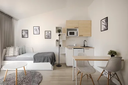 Entire apartment at Hartigova, Žižkov, image 1 of 10