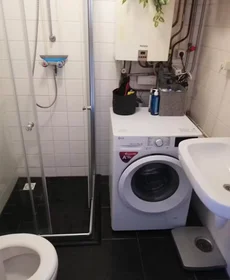 Alojamiento entero en Balderikstraat, Zuilen, imagen 3 de 10