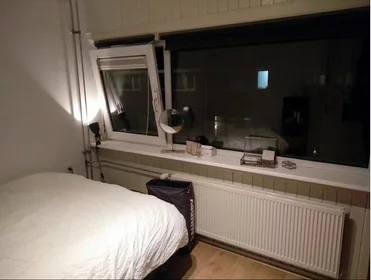 Alojamiento entero en Balderikstraat, Zuilen, imagen 4 de 10