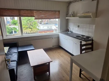 Alojamiento entero en Balderikstraat, Zuilen, imagen 8 de 10