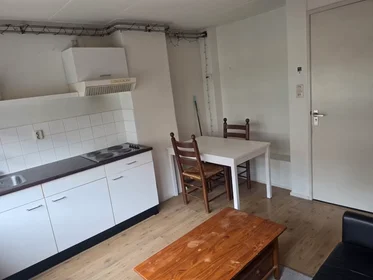 Alojamiento entero en Balderikstraat, Zuilen, imagen 10 de 10