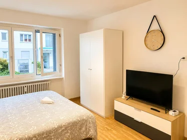 Logement entier à Tramstrasse, Kreis 11, image 2 de 10
