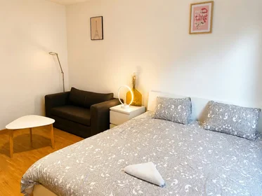 Logement entier à Tramstrasse, Kreis 11, image 3 de 10