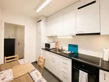 Logement entier à Tramstrasse, Kreis 11, image 5 de 10