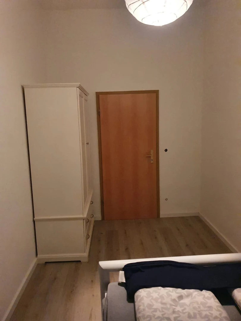 Entire fully furnished flat in Magdeburg