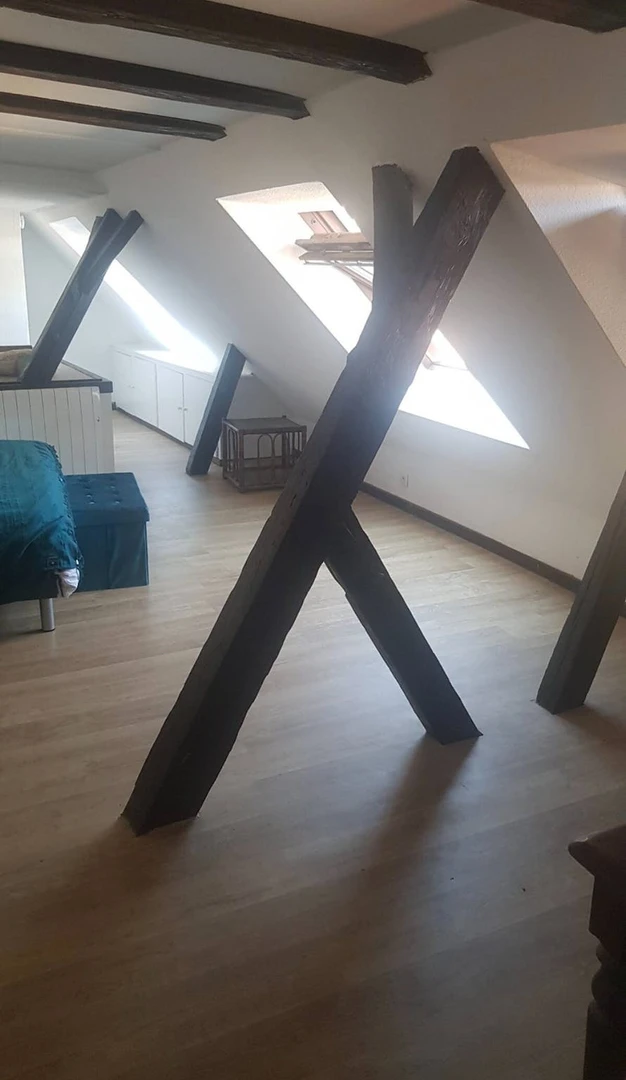Accommodation with 3 bedrooms in Strasbourg
