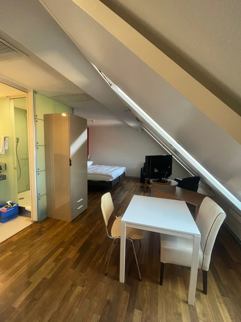 Appartamento in centro a Zurich