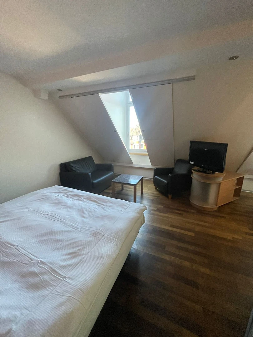 Appartamento in centro a Zurich