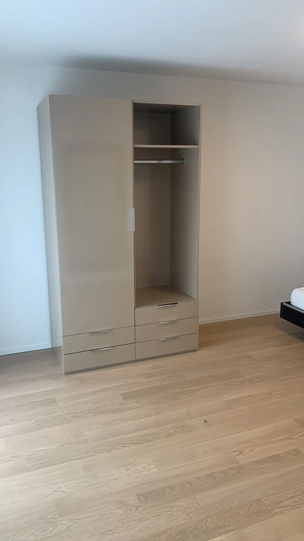 Entire fully furnished flat in Zurich