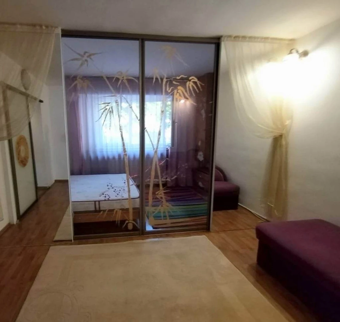 Accommodation with 3 bedrooms in Bucharest