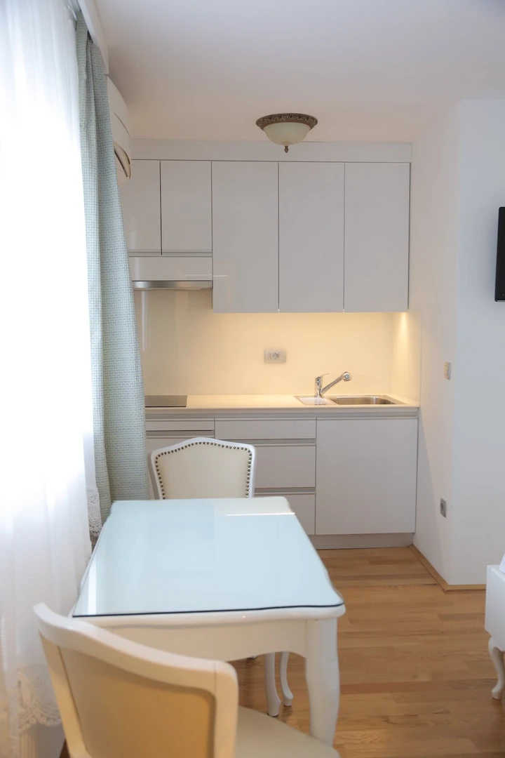 Apartamento totalmente mobilado em Liubliana
