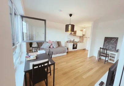 Entire apartment at Klenaugasse, 22. Bezirk-Donaustadt, image 9 of 10