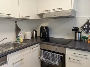 Appartamento intero in Hilmteichstraße, Geidorf, immagine 10 di 10